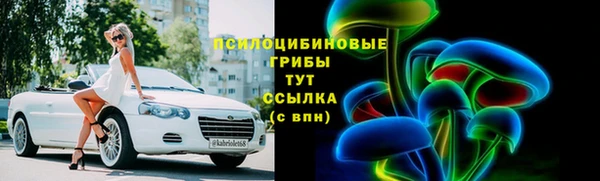 МДПВ Слюдянка