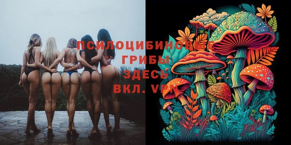 МДПВ Слюдянка