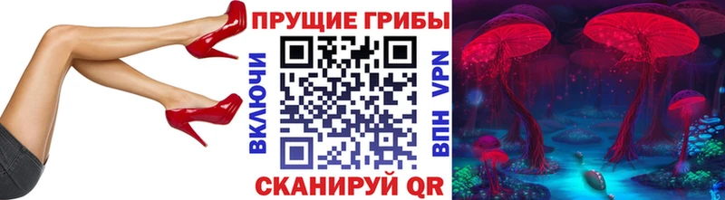 Купить где  Ялуторовск  Псилоцибиновые грибы ЛСД 